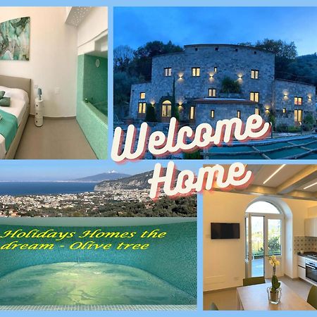 Holidays Homes The Dream Сант'Агнело Екстериор снимка